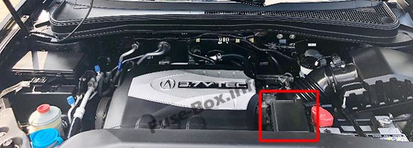 The location of the fuses in the engine compartment: Acura MDX (YD2; 2007, 2008, 2009, 2010, 2011, 2012, 2013)