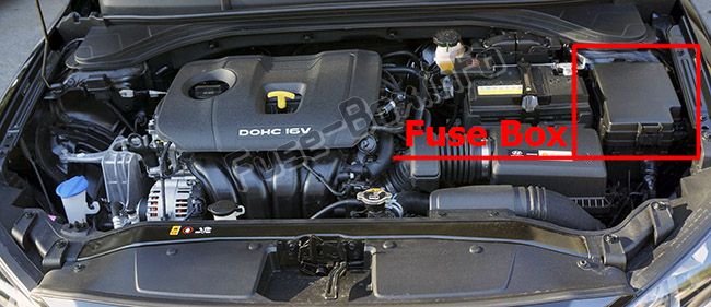 The location of the fuses in the engine compartment: Hyundai Elantra (2017, 2018, 2019)