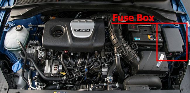 The location of the fuses in the engine compartment: Hyundai Elantra GT (2018, 2019)