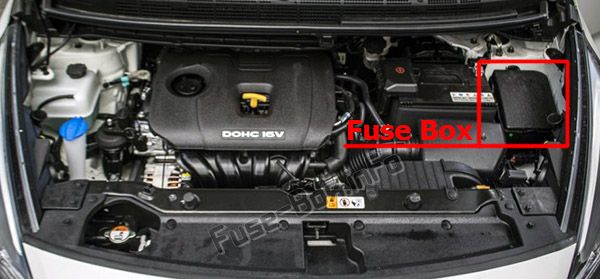 The location of the fuses in the engine compartment: KIA Rondo (2013-2018)