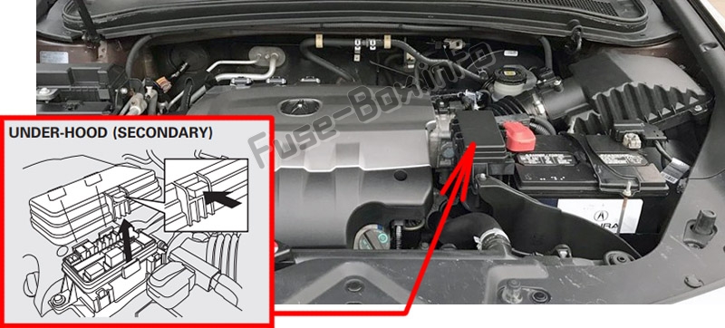 The location of the fuses in the engine compartment: Acura ZDX (2010-2013)