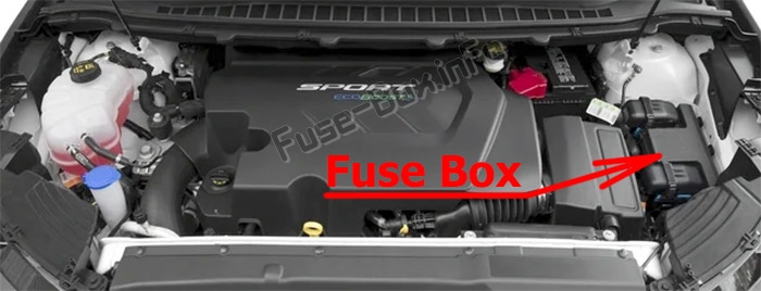 The location of the fuses in the engine compartment: Ford Edge (2015-2019..)