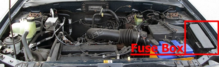 The location of the fuses in the engine compartment: Ford Escape (2001-2004)