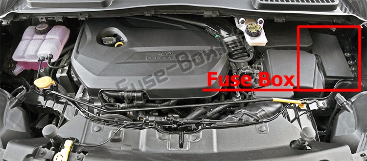 The location of the fuses in the engine compartment: Ford Escape (2013-2019)