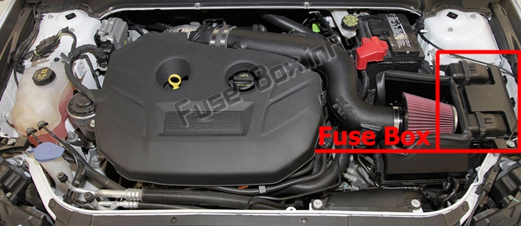 The location of the fuses in the engine compartment: Ford Fusion (2013-2016)
