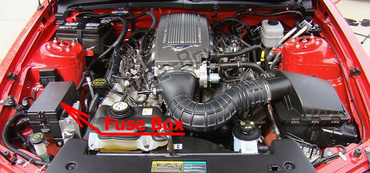 The location of the fuses in the engine compartment: Ford Mustang (2005-2009)