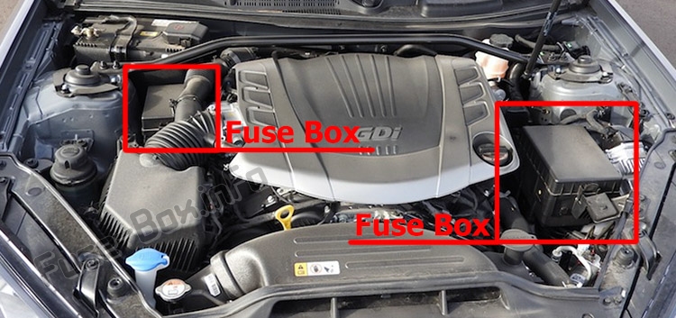 The location of the fuses in the engine compartment: Hyundai Genesis Coupe (2009-2016)