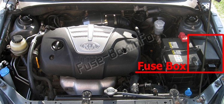 The location of the fuses in the engine compartment: KIA Rio (DC; 2000-2005)