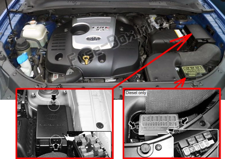 The location of the fuses in the engine compartment: KIA Sportage (JE/KM; 2004-2010)