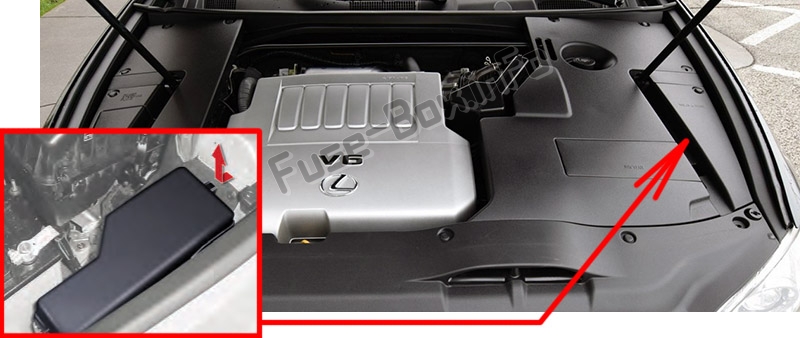 The location of the fuses in the engine compartment: Lexus ES350 (XV40 / GSV40; 2007-2012)