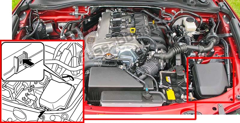 The location of the fuses in the engine compartment: Mazda MX-5 Miata (ND; 2016-2019..)