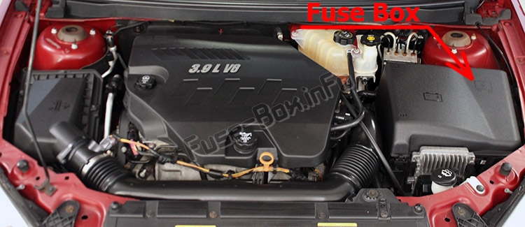 The location of the fuses in the engine compartment: Pontiac G6 (2005-2010)