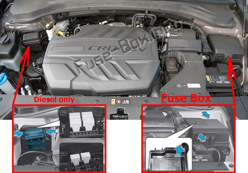 The location of the fuses in the engine compartment: Hyundai Santa Fe (TM; 2019)
