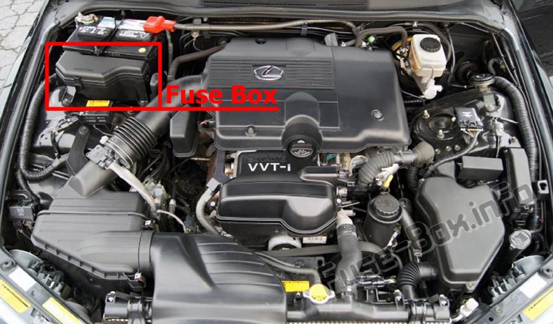 The location of the fuses in the engine compartment: Lexus IS300 (XE10; 2001-2005)