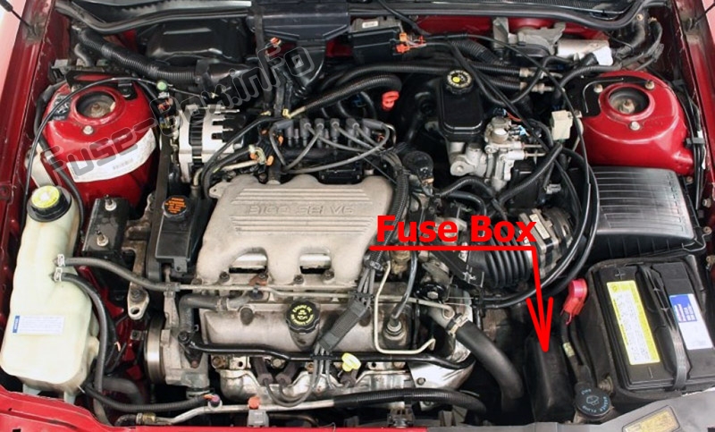 The location of the fuses in the engine compartment: Buick Skylark (1996, 1997, 1998)