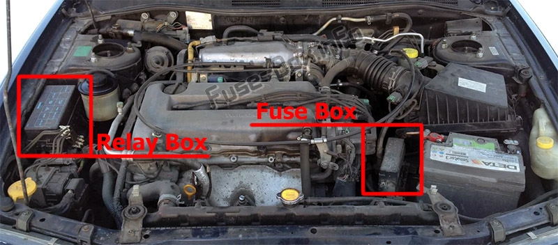 The location of the fuses in the engine compartment: Infiniti G20 (1998-2002)