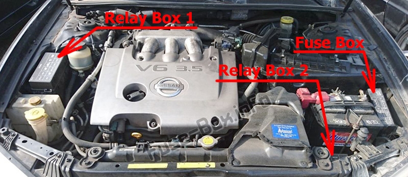 The location of the fuses in the engine compartment: Nissan Maxima (1999-2003)